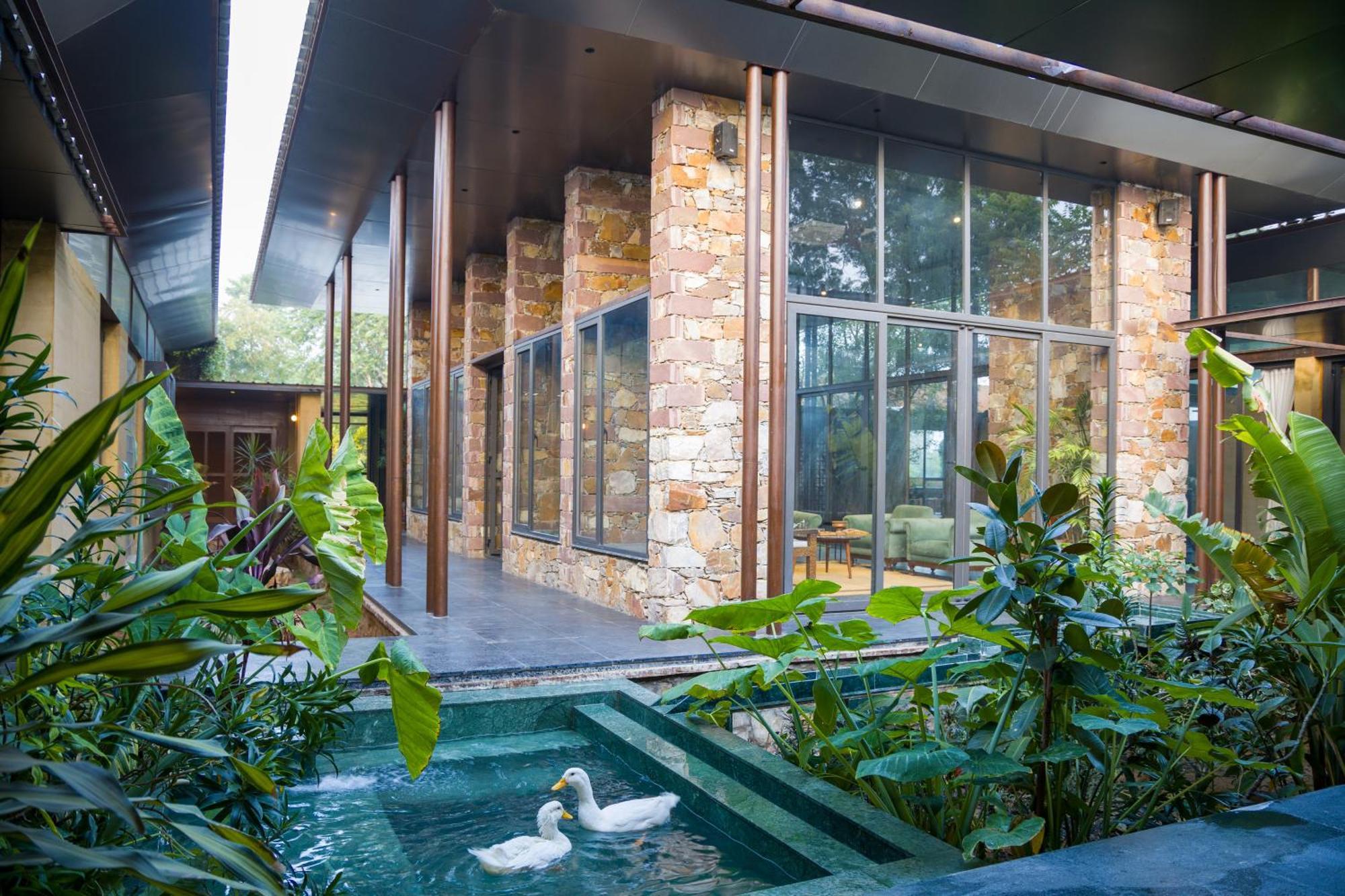 Elivaas Hari Bagh 4 Bhk Villa With Gaming Zone & Art Nook Dźajpur Zewnętrze zdjęcie