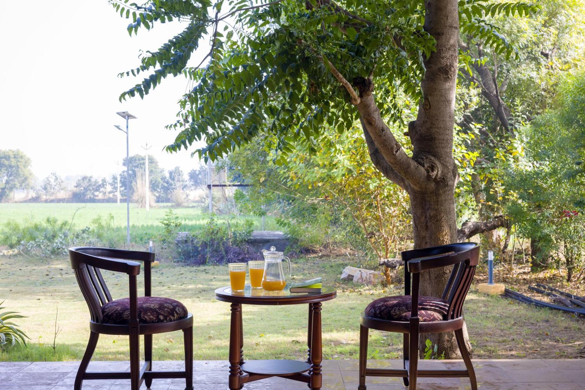 Elivaas Hari Bagh 4 Bhk Villa With Gaming Zone & Art Nook Dźajpur Zewnętrze zdjęcie